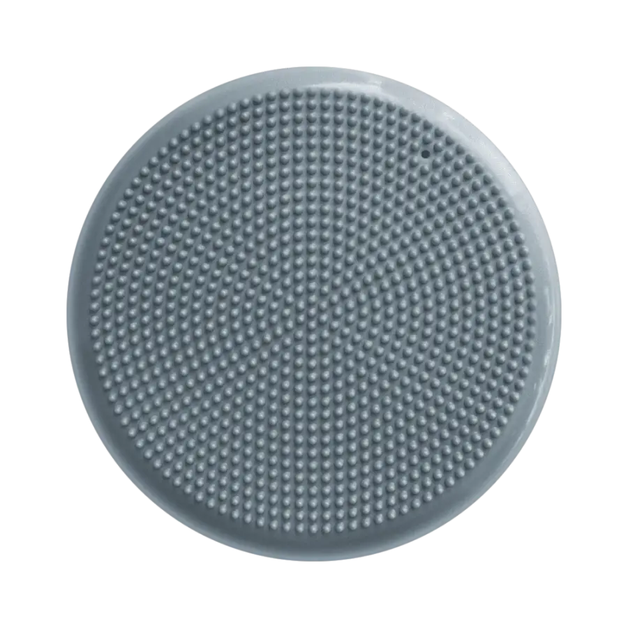 Yamaguchi Balance Disk (gray)